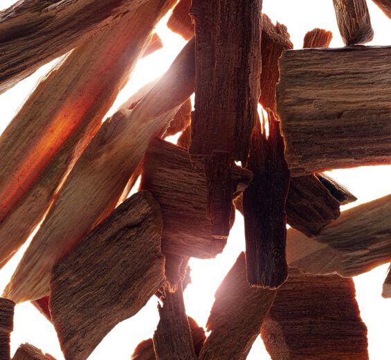 Sandalwood-Sandalwood Essential Oil-Santalum album (sandalwood) oil