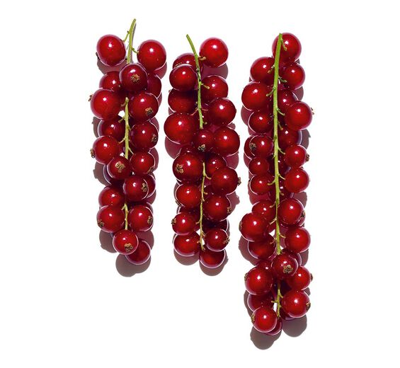 Red Currant-สารสกัด Red Currant ออร์แกนิก-Ribes rubrum (currant) fruit extract