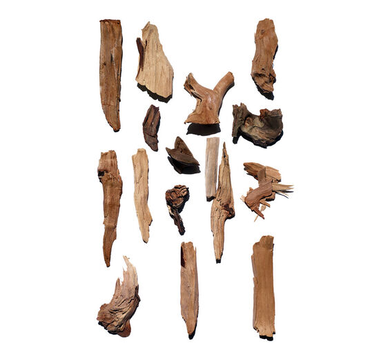 Sandalwood-Sandalwood Essential Oil-Santalum album (sandalwood) oil