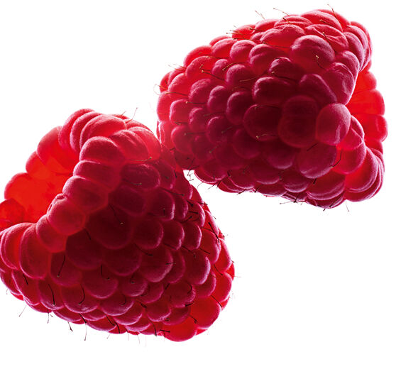 ราสเบอร์รี่ (Raspberry Bush)-Raspberry Oil-Rubus idaeus (raspberry) seed oil