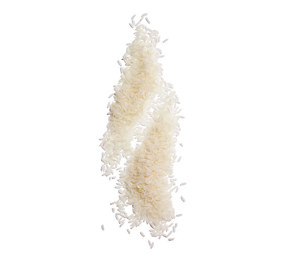 Rice-Rice Powder-Oryza sativa (rice) starch