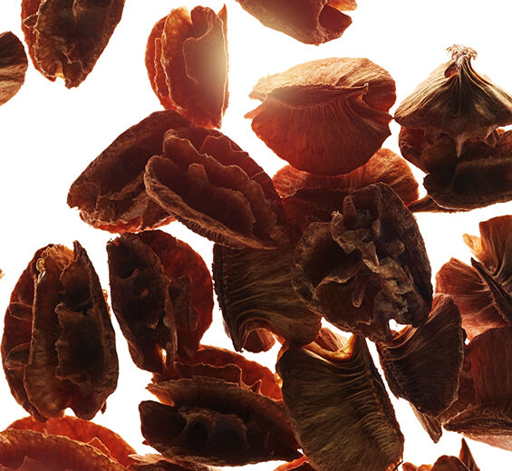 Acerola-สารสกัด Acerola Seed-Malpighia emarginata (acerola) seed extract