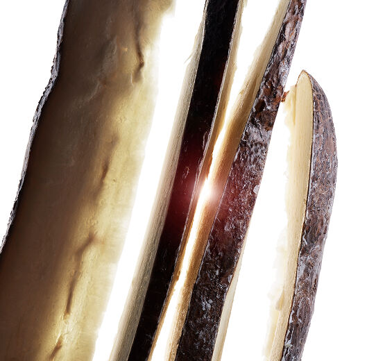 Manioc-Manioc root extract ออร์แกนิก-Tapioca starch