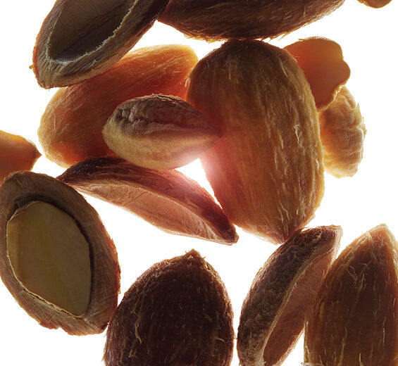 Desert Date-สารสกัด Desert Date ออร์แกนิก-Balanites roxburghii seed oil