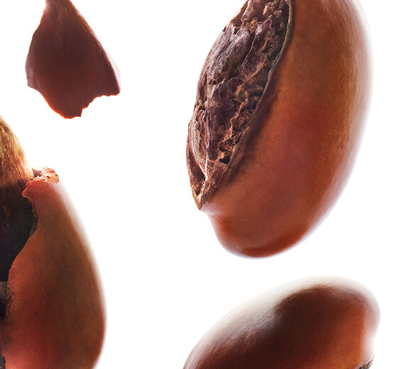Shea Tree-Shea Butter-Butyrospermum parkii (shea) butter