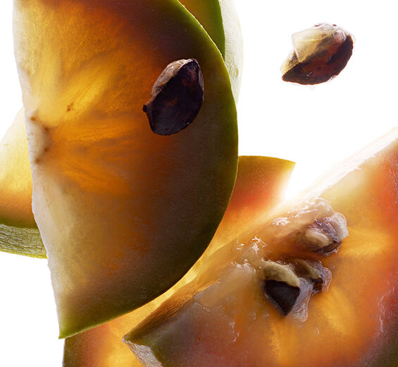 Star Apple Tree-สารสกัด Vu Sua-Chrysophyllum cainito fruit extract
