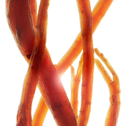 Ginseng-สารสกัดจากโสมแดงออร์แกนิก (Red Ginseng)-Panax ginseng root extract