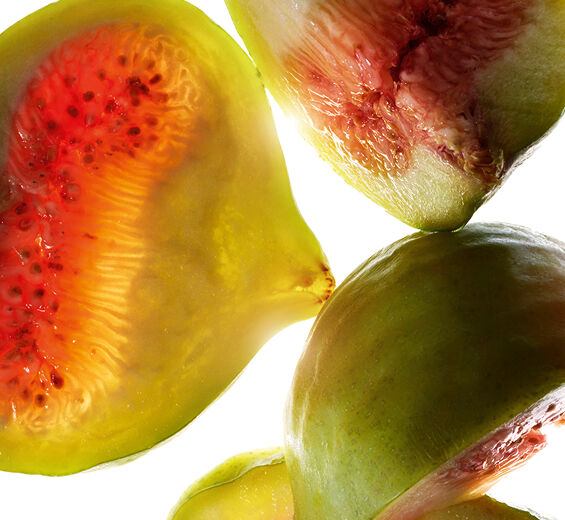Fig Tree-สารสกัด Fig-Ficus carica (fig) fruit extract