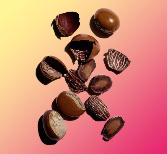 Shea Tree-สารที่สปอนิไฟด์ไม่ได้จาก Shea (พืชออร์แกนิก)-Butyrospermum parkii (shea) butter