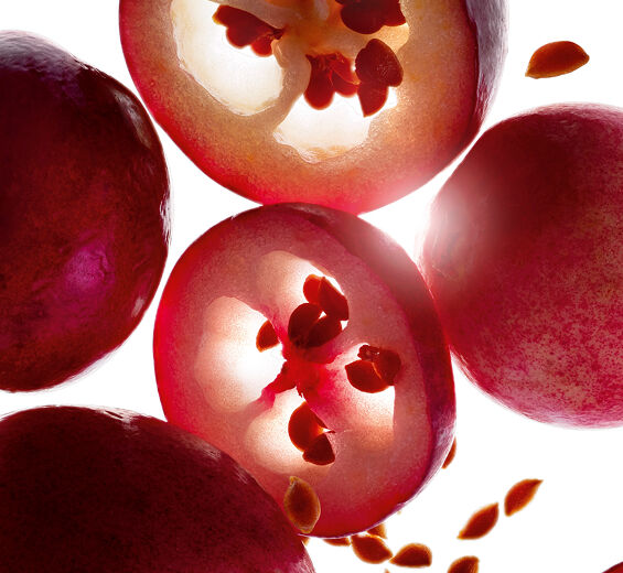 Cranberry-Cranberry Oil ออร์แกนิก-Vaccinium macrocarpon (cranberry) seed oil