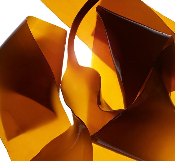 Laminaria-สารสกัด Laminaria-Laminaria digitata extract