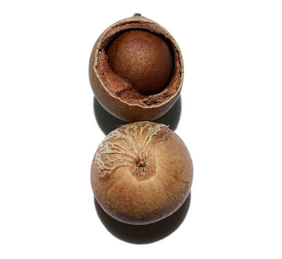 Tamanu-Tamanu Oil ออร์แกนิก-Calophyllum inophyllum seed oil