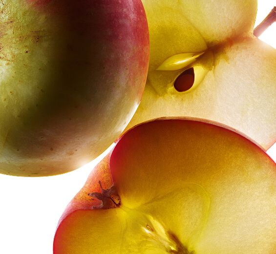 Apple Tree-สารสกัดจากแอปเปิ้ลออร์แกนิก (Small Apple)-Malus Domestica Fruit Extract