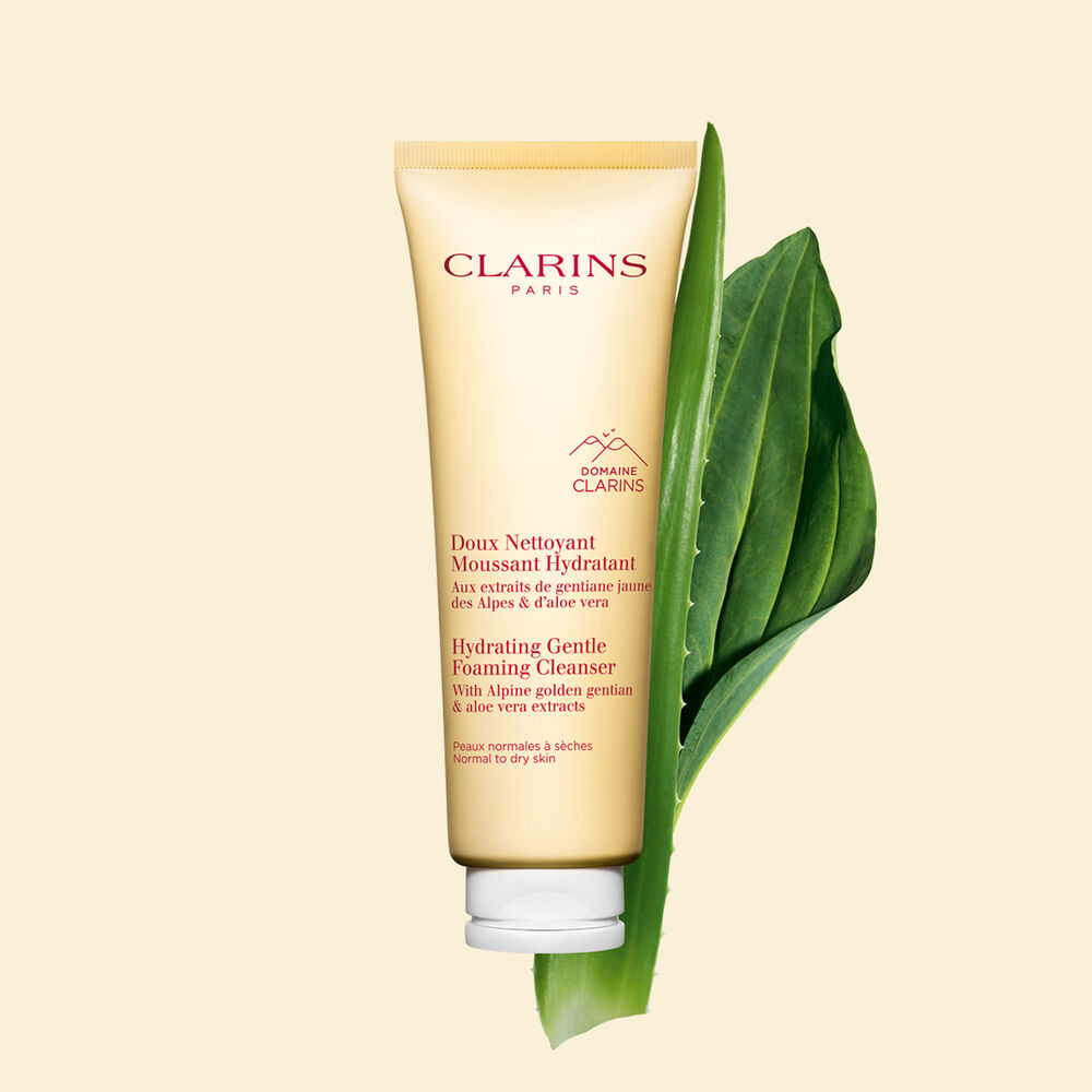 Purifying Gentle Foaming Cleanser