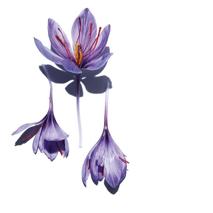 Hydra-Essentiel supercharged bi-phase serum