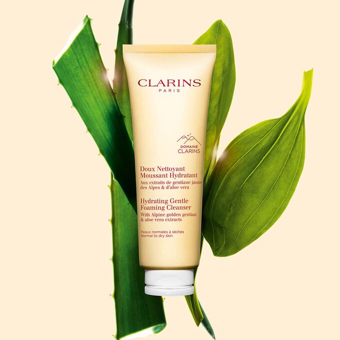 Purifying Gentle Foaming Cleanser