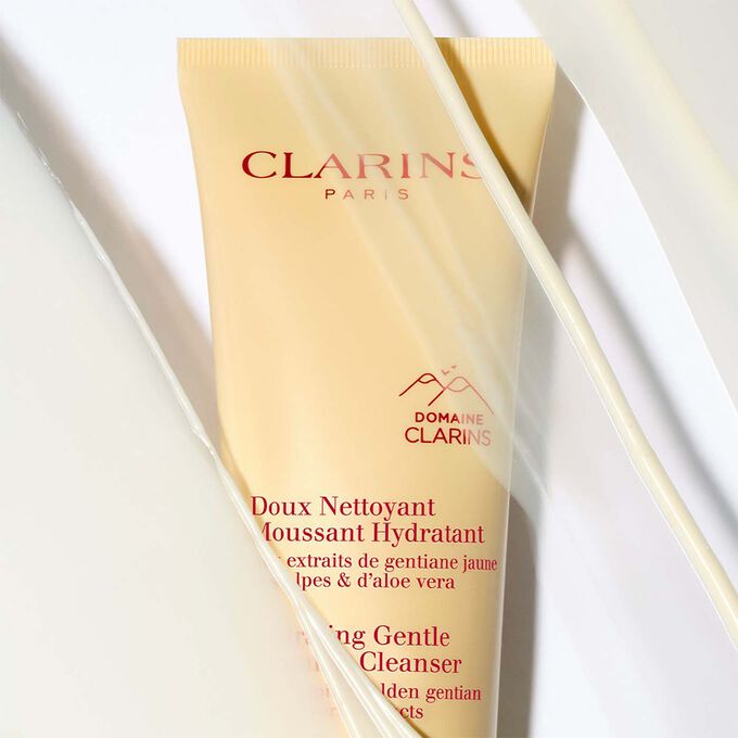 Purifying Gentle Foaming Cleanser