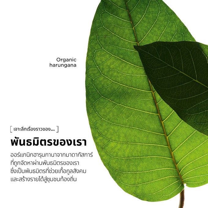 ชุดผลิตภัณฑ์และบรรจุภัณฑ์ Super Restorative Remodelling Serum ขนาด 30 มล.
