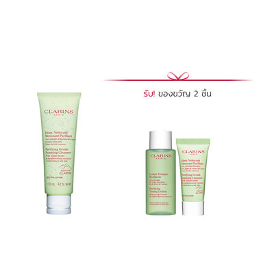 Purifying Gentle Foaming Cleanser