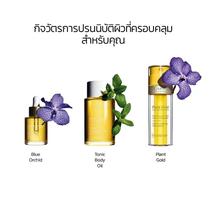 Blue Orchid Treatment Oil กิจวัตรการปรนนิบัติผิวด้วย Tonic Body Oil และ Plant Gold