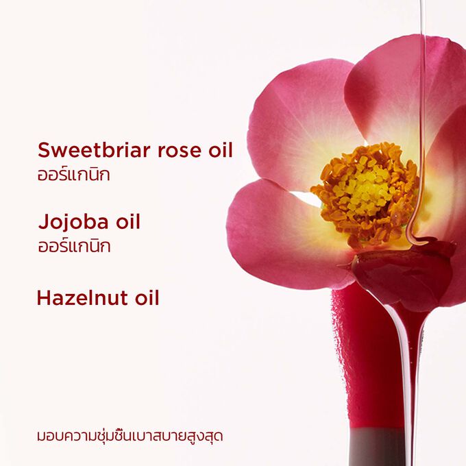 ภาพระยะใกล้ของดอก Sweetbriar Rose ที่เน้นถึงส่วนผสมหลักของ Clarins Lip Comfort Oil