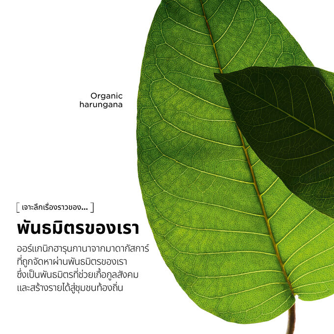 ฟื้นบำรุงและลดเลือนริ้วรอยแห่งวัยด้วย Super Restorative D&eacute;collet&eacute; & Neck Concentrate และ Hand Cream