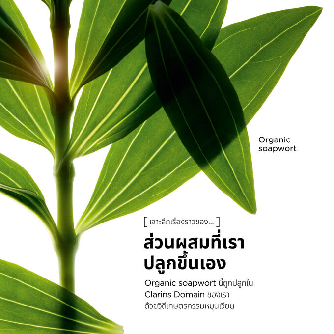 Tonic Bath &amp; Shower Concentrate