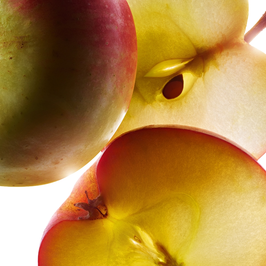 Apple Tree-สารสกัดจากแอปเปิ้ลออร์แกนิก (Small Apple)-Malus Domestica Fruit Extract