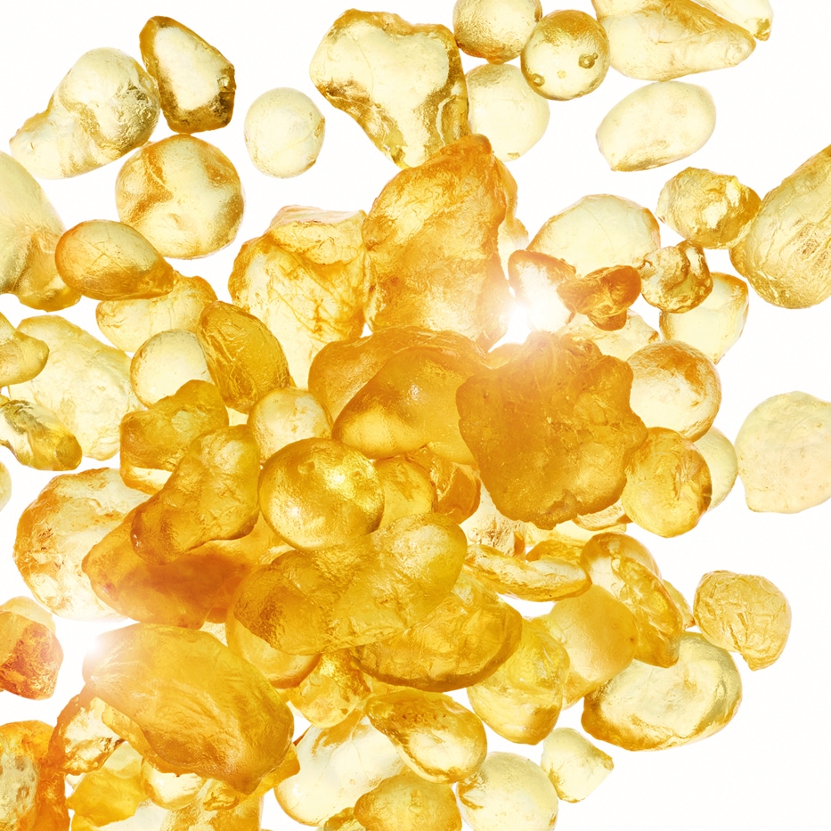 Mastic Shrub-สารสกัด Mastic-Pistacia lentiscus (mastic) gum