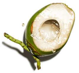 Coconut water