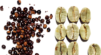 สารสกัด Guarana และ Plant caffeine ออร์แกนิก