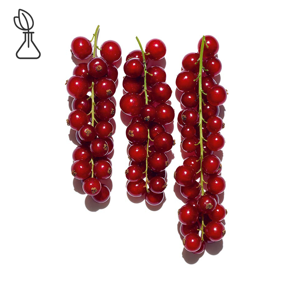 Red Currant-สารสกัด Red Currant ออร์แกนิก-Ribes rubrum (currant) fruit extract