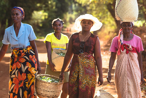 ผู้หญิงถือตะกร้าที่เต็มไปด้วยพืชนานาพันธุ์ในมาดากัสการ์