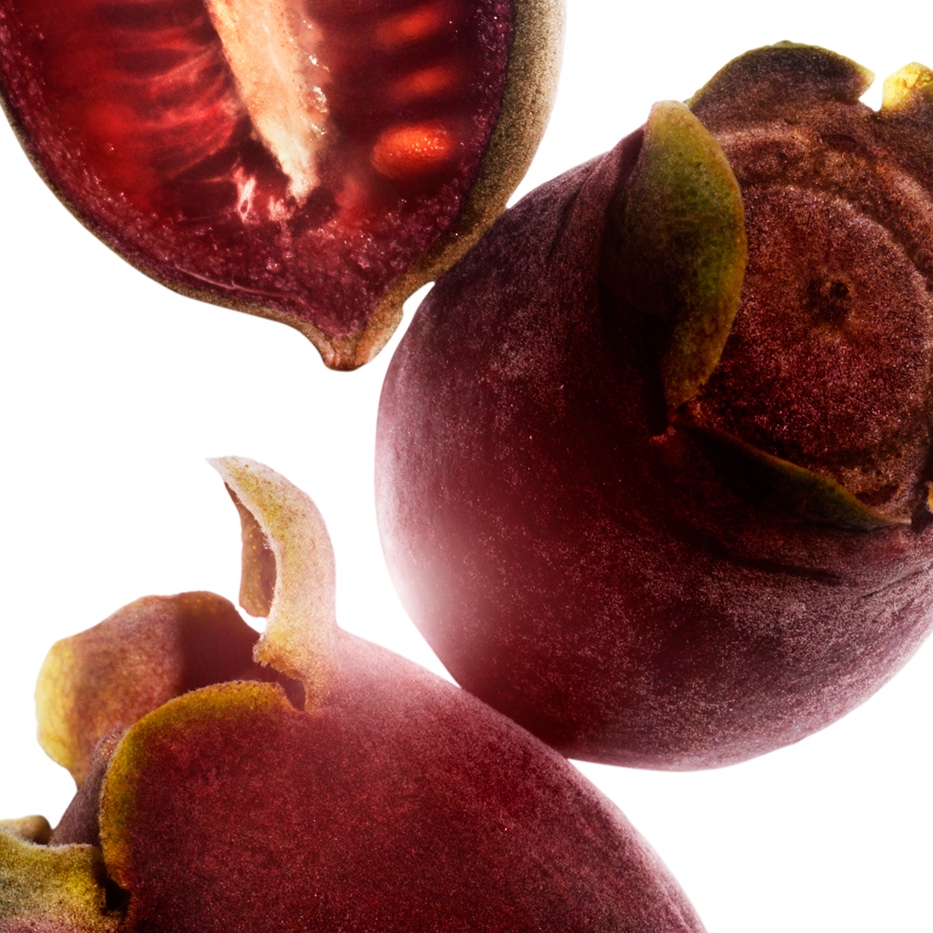 Rose-myrtle-สารสกัด Rose-myrtle-Rhodomyrtus tomentosa fruit extract