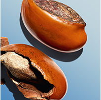 Shea Butter