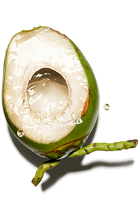 Coconut water ออร์แกนิค