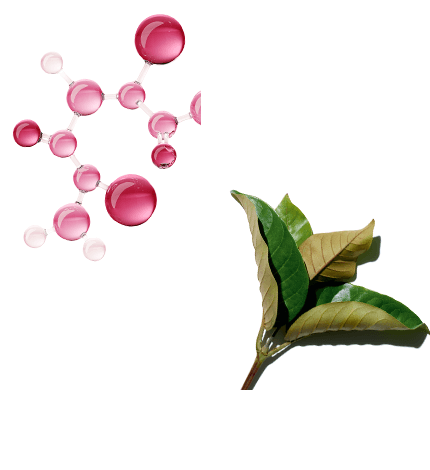 Multi-Active Treatment Essence