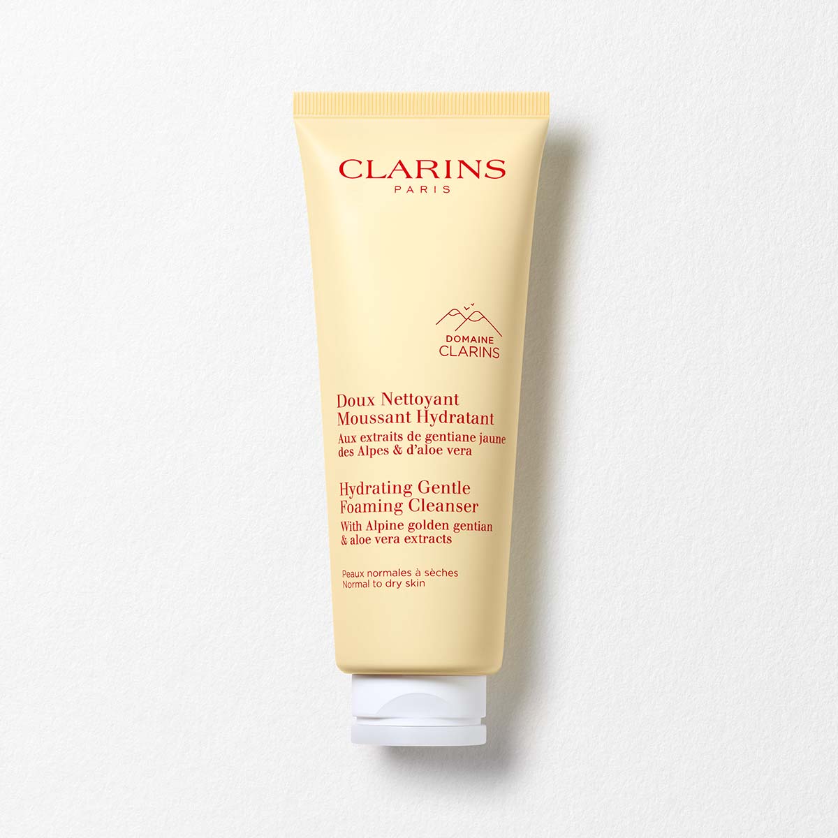 Purifying Gentle Foaming Cleanser