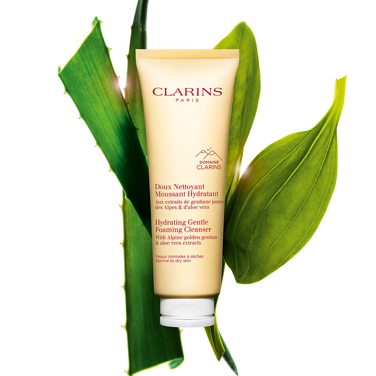 Purifying Gentle Foaming Cleanser